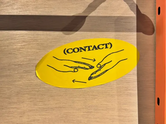 Wunderino Casino Tugi